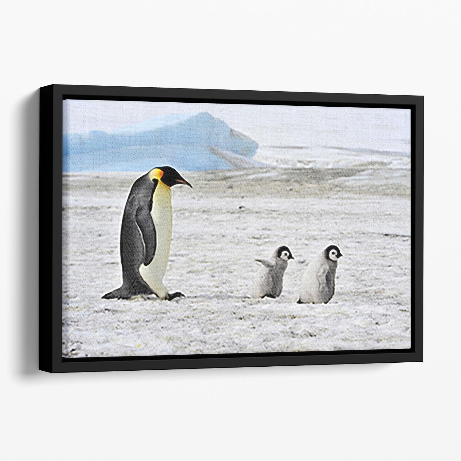 Emperor Penguin with two chicks in Antarctica Floating Framed Canvas - Canvas Art Rocks - 1