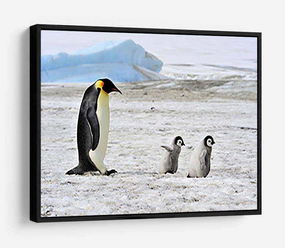 Emperor Penguin with two chicks in Antarctica HD Metal Print - Canvas Art Rocks - 6