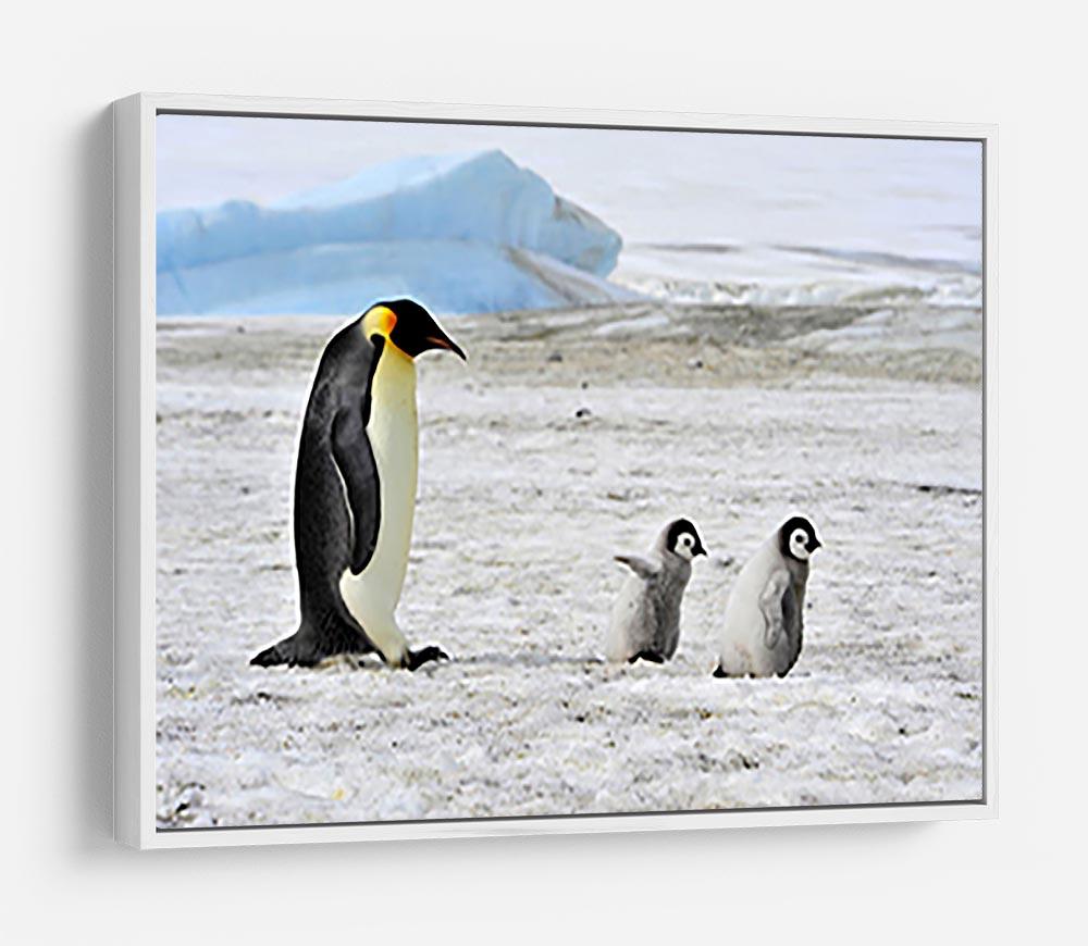 Emperor Penguin with two chicks in Antarctica HD Metal Print - Canvas Art Rocks - 7
