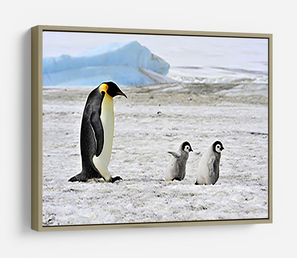 Emperor Penguin with two chicks in Antarctica HD Metal Print - Canvas Art Rocks - 8