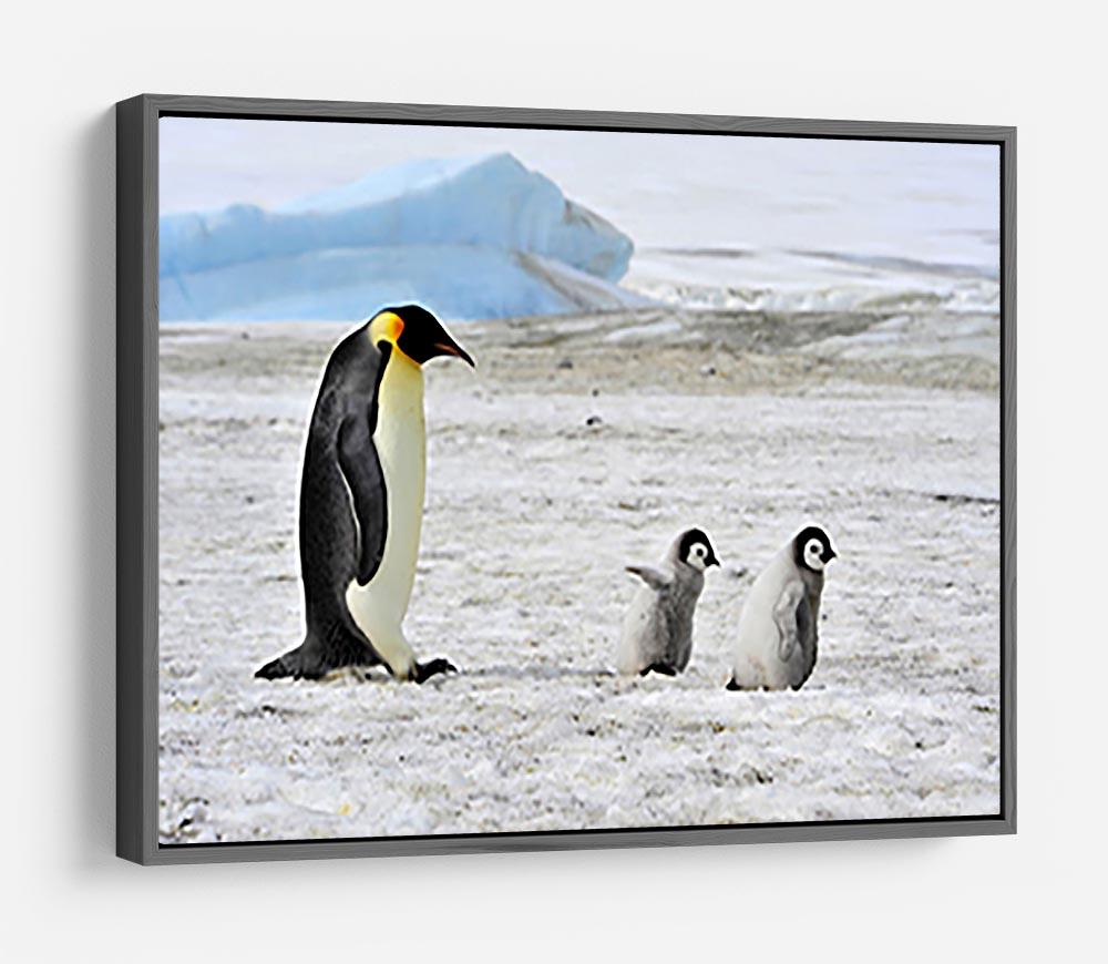 Emperor Penguin with two chicks in Antarctica HD Metal Print - Canvas Art Rocks - 9