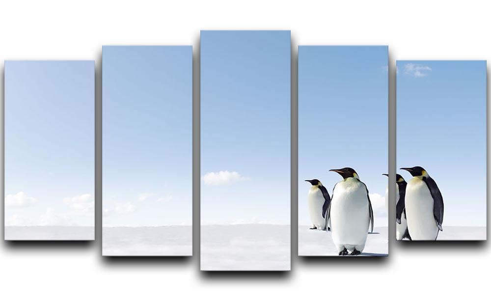 Emperor Penguins in Antacrctica 5 Split Panel Canvas - Canvas Art Rocks - 1