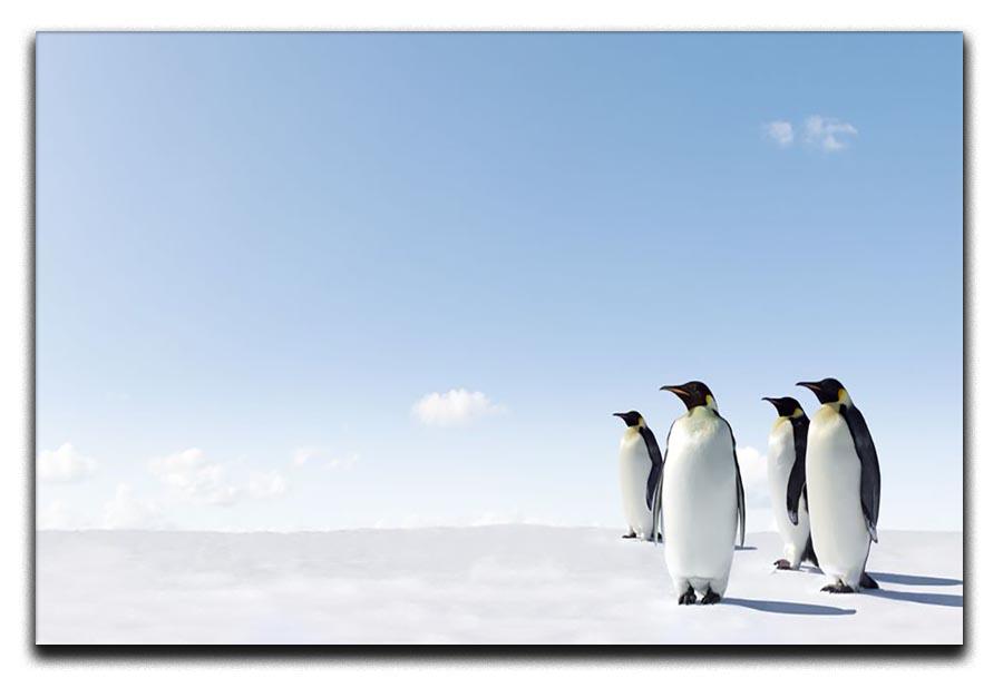 Emperor Penguins in Antacrctica Canvas Print or Poster - Canvas Art Rocks - 1