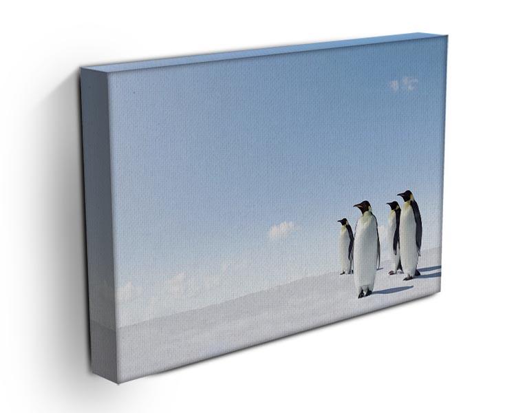 Emperor Penguins in Antacrctica Canvas Print or Poster - Canvas Art Rocks - 3