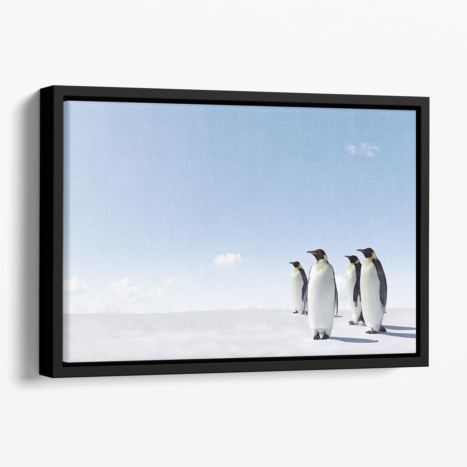 Emperor Penguins in Antacrctica Floating Framed Canvas - Canvas Art Rocks - 1