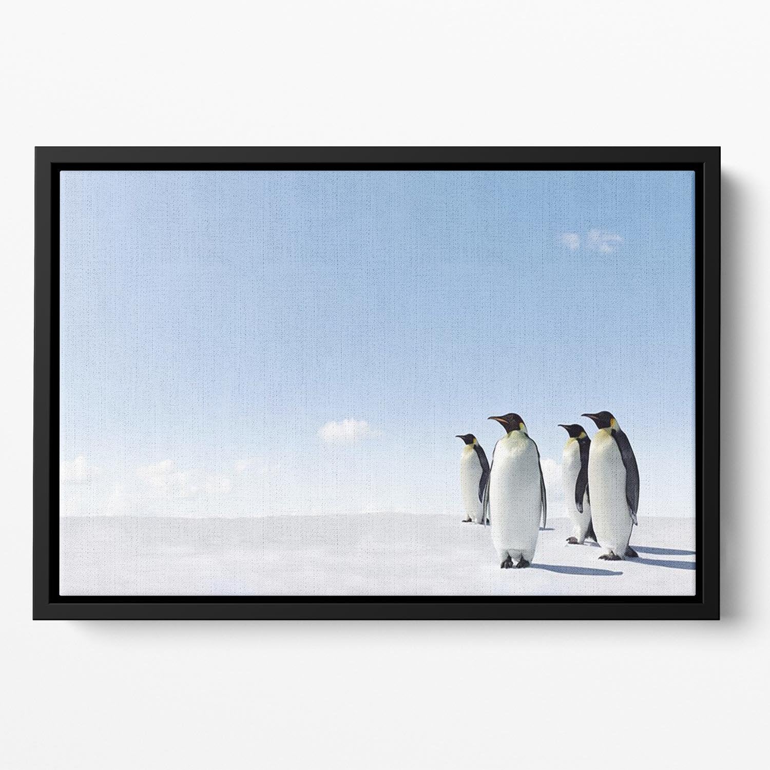 Emperor Penguins in Antacrctica Floating Framed Canvas - Canvas Art Rocks - 2