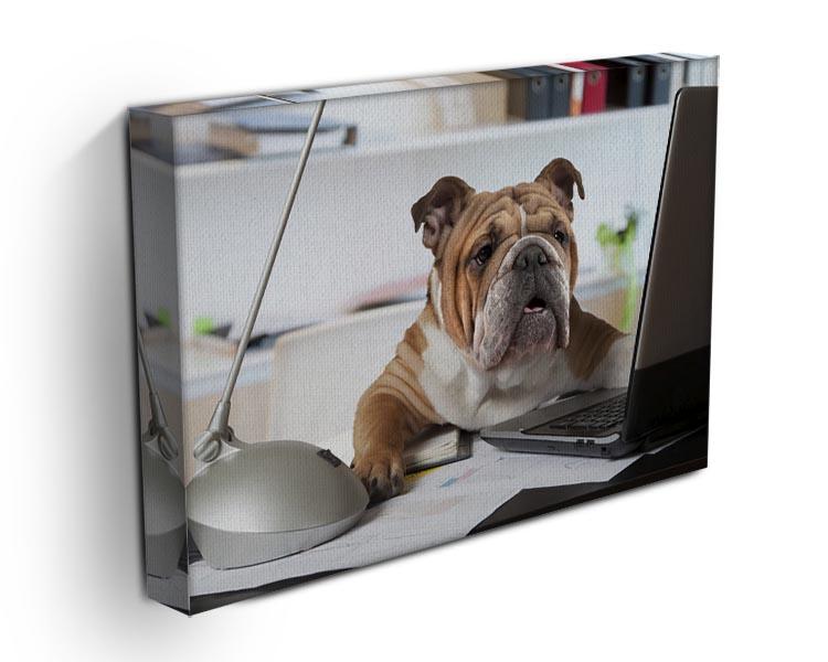 English Bulldog sitting at a desk Canvas Print or Poster - Canvas Art Rocks - 3