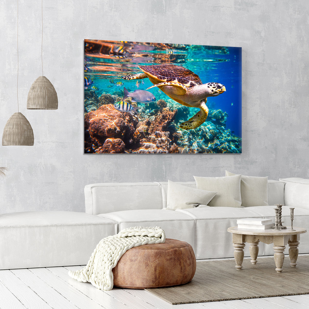 Eretmochelys imbricata Canvas Print or Poster - Canvas Art Rocks - 6