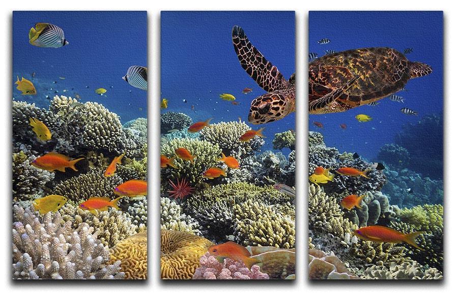 Eretmochelys imbricata floats under water 3 Split Panel Canvas Print - Canvas Art Rocks - 1