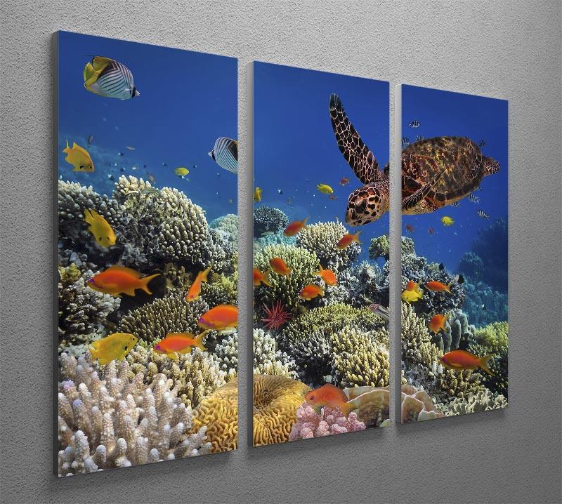 Eretmochelys imbricata floats under water 3 Split Panel Canvas Print - Canvas Art Rocks - 2