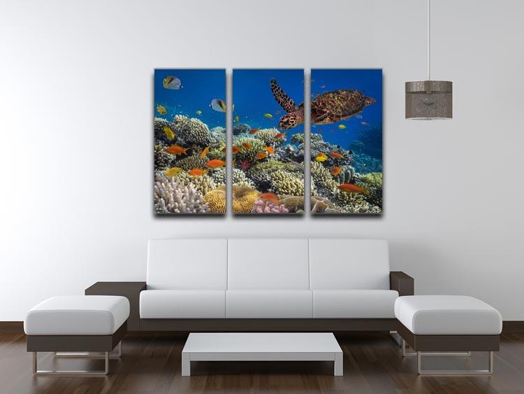 Eretmochelys imbricata floats under water 3 Split Panel Canvas Print - Canvas Art Rocks - 3
