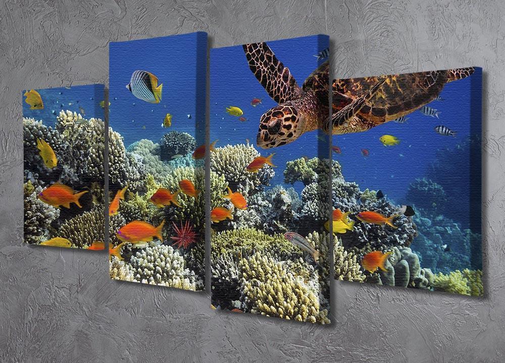 Eretmochelys imbricata floats under water 4 Split Panel Canvas  - Canvas Art Rocks - 2