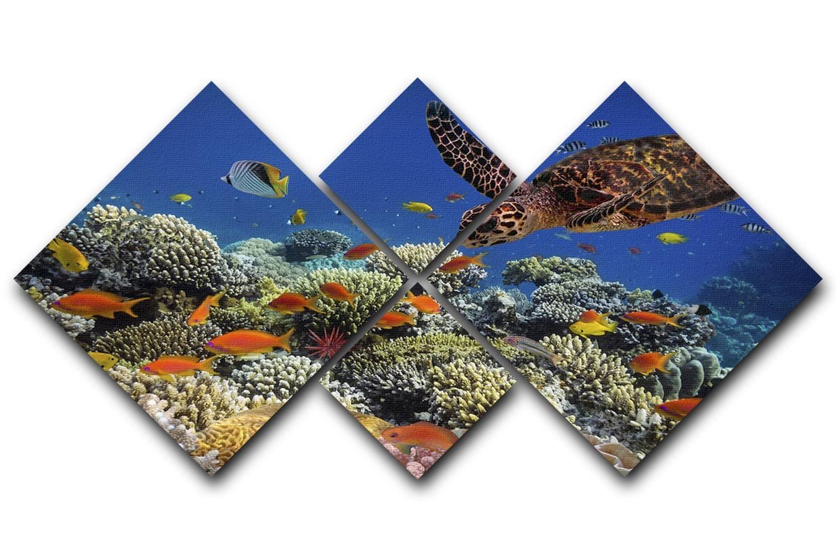 Eretmochelys imbricata floats under water 4 Square Multi Panel Canvas  - Canvas Art Rocks - 1