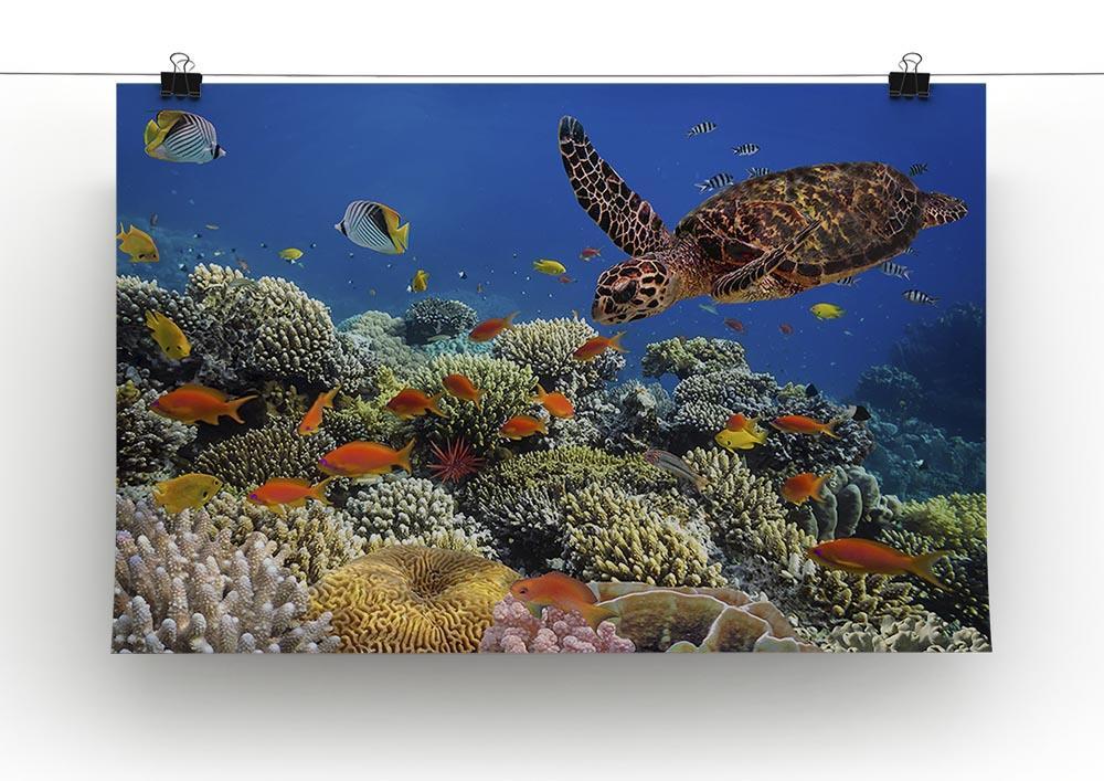 Eretmochelys imbricata floats under water Canvas Print or Poster - Canvas Art Rocks - 2