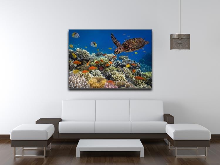 Eretmochelys imbricata floats under water Canvas Print or Poster - Canvas Art Rocks - 4