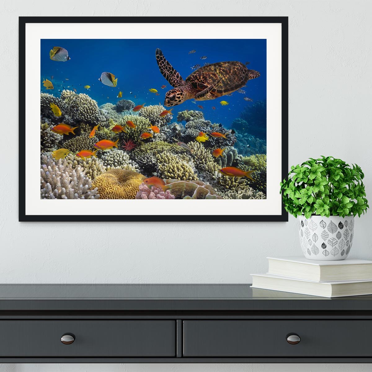 Eretmochelys imbricata floats under water Framed Print - Canvas Art Rocks - 1