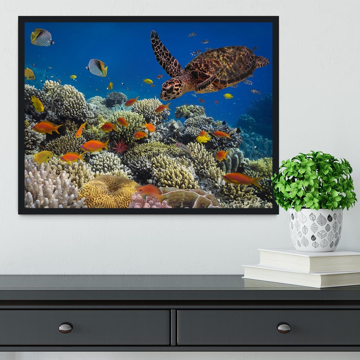 Eretmochelys imbricata floats under water Framed Print - Canvas Art Rocks - 2