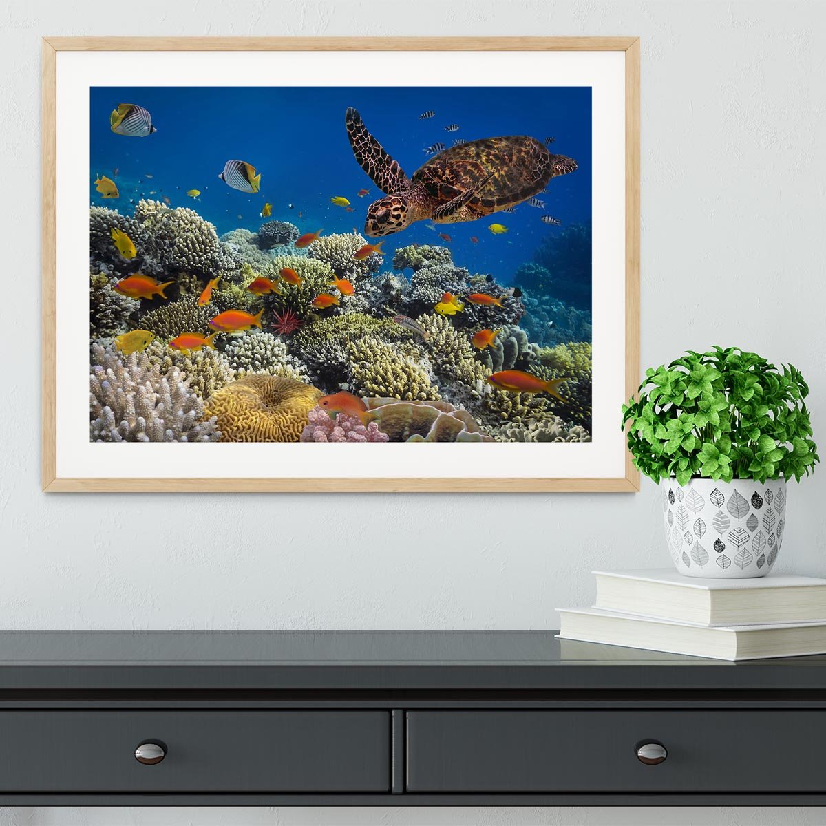 Eretmochelys imbricata floats under water Framed Print - Canvas Art Rocks - 3