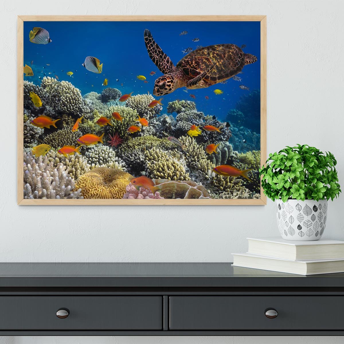 Eretmochelys imbricata floats under water Framed Print - Canvas Art Rocks - 4