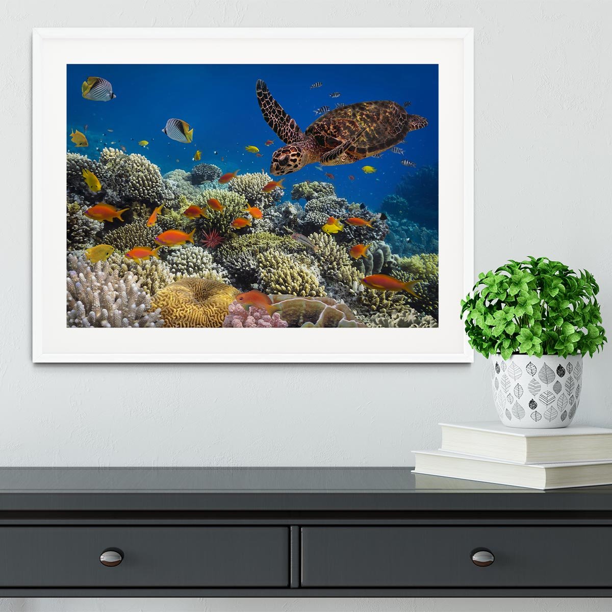 Eretmochelys imbricata floats under water Framed Print - Canvas Art Rocks - 5