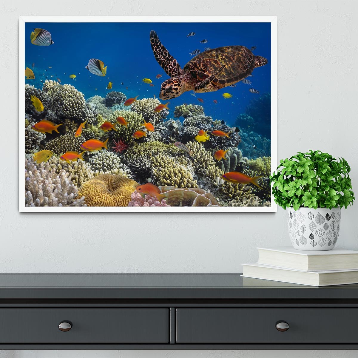 Eretmochelys imbricata floats under water Framed Print - Canvas Art Rocks -6