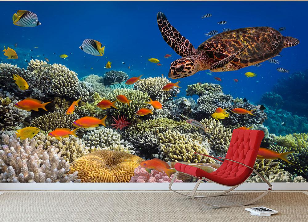 Eretmochelys imbricata floats under water Wall Mural Wallpaper - Canvas Art Rocks - 3
