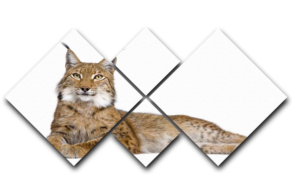 Eurasian Lynx 4 Square Multi Panel Canvas - Canvas Art Rocks - 1