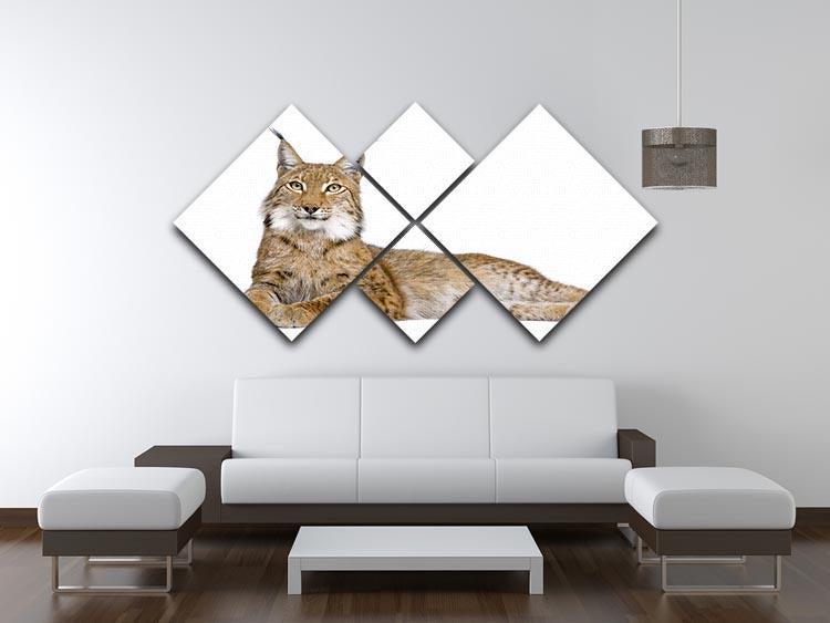 Eurasian Lynx 4 Square Multi Panel Canvas - Canvas Art Rocks - 3