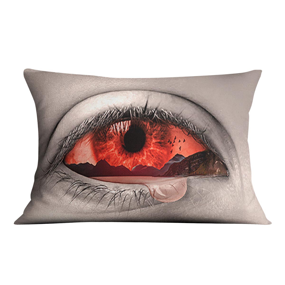 Eye Of Nature Cushion