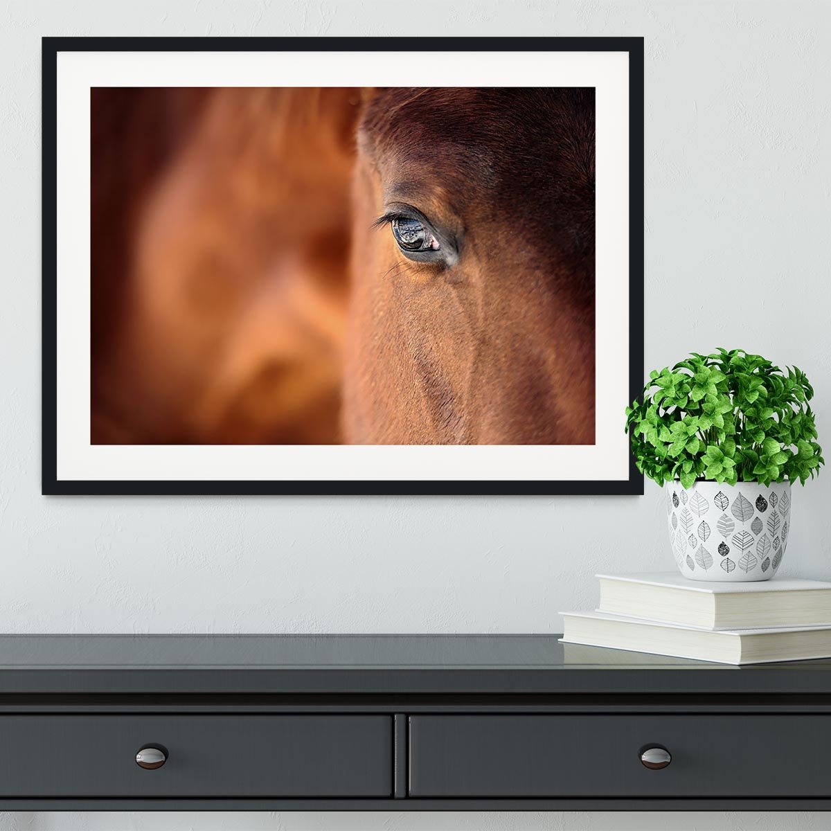 Eye of Arabian bay horse Framed Print - Canvas Art Rocks - 1