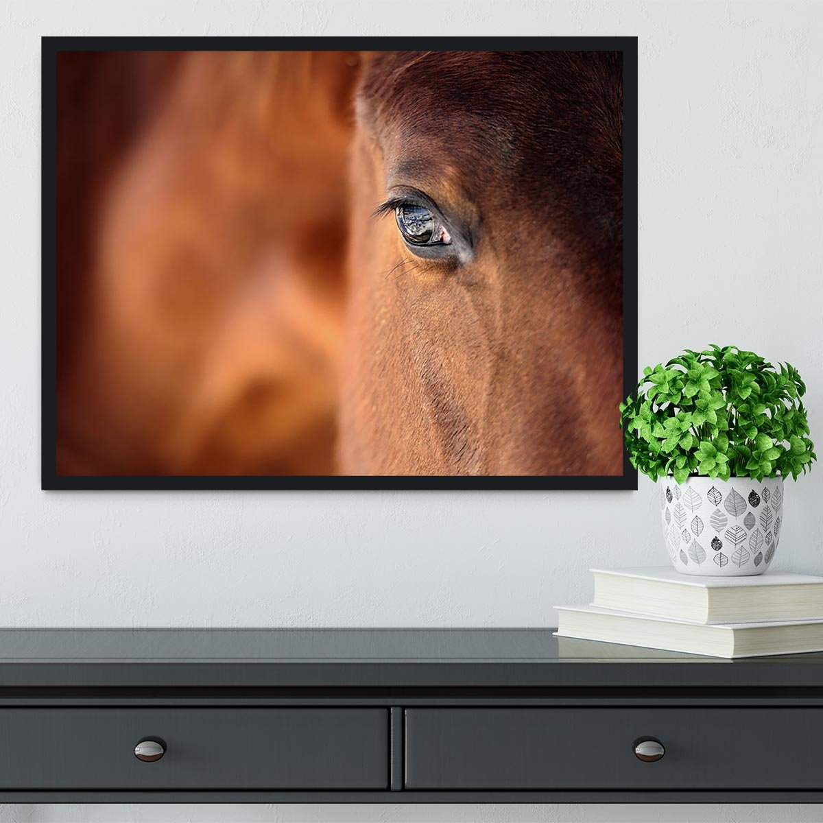 Eye of Arabian bay horse Framed Print - Canvas Art Rocks - 2