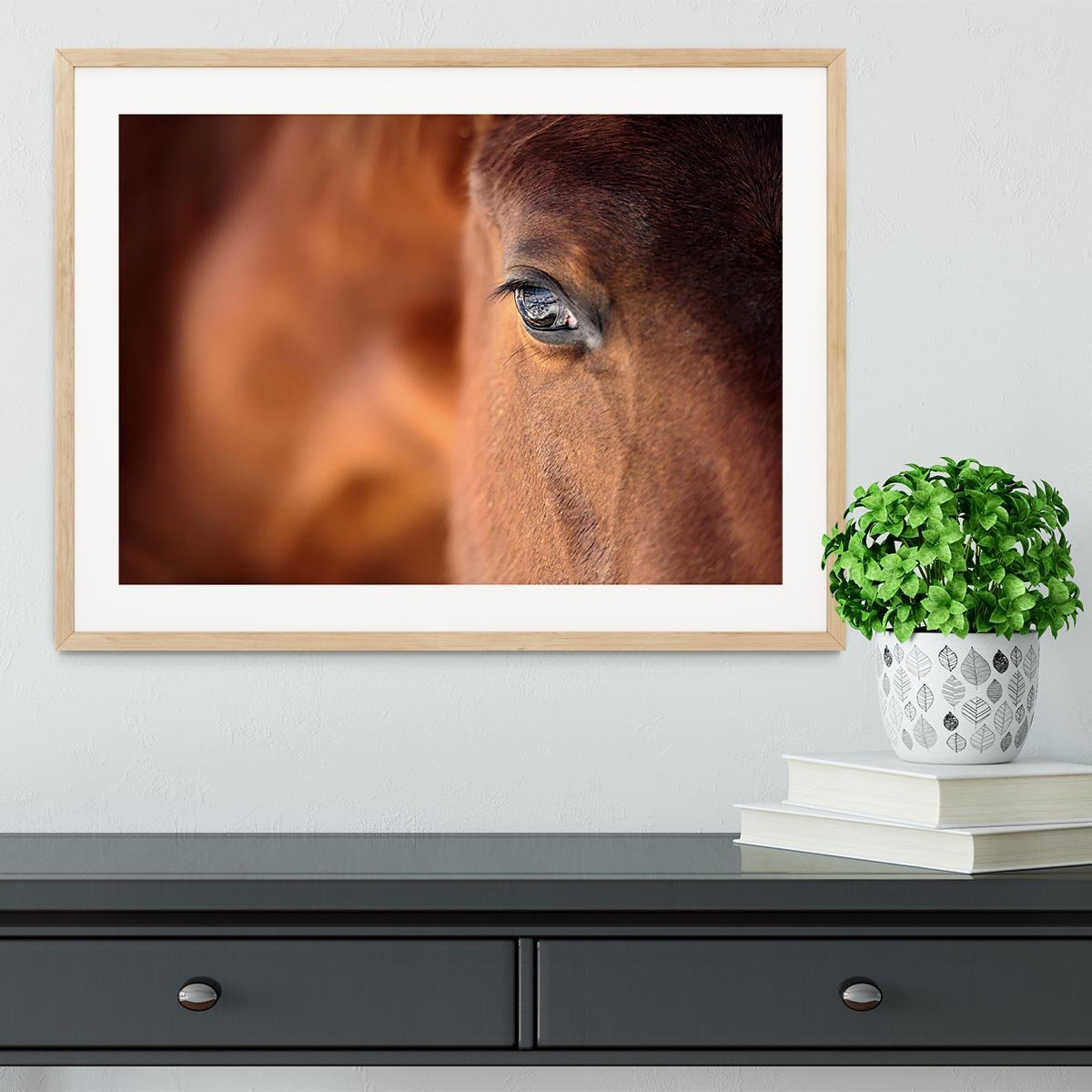 Eye of Arabian bay horse Framed Print - Canvas Art Rocks - 3
