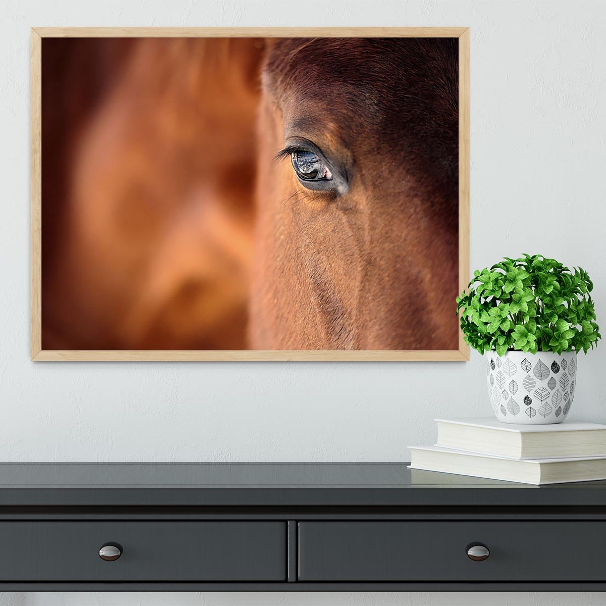 Eye of Arabian bay horse Framed Print - Canvas Art Rocks - 4