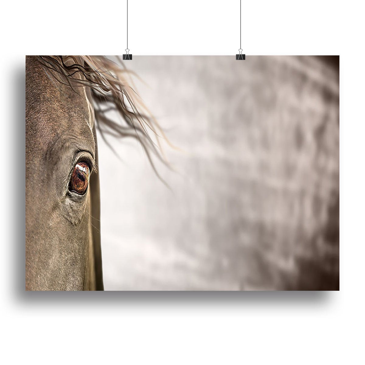 Eye of horse Canvas Print or Poster