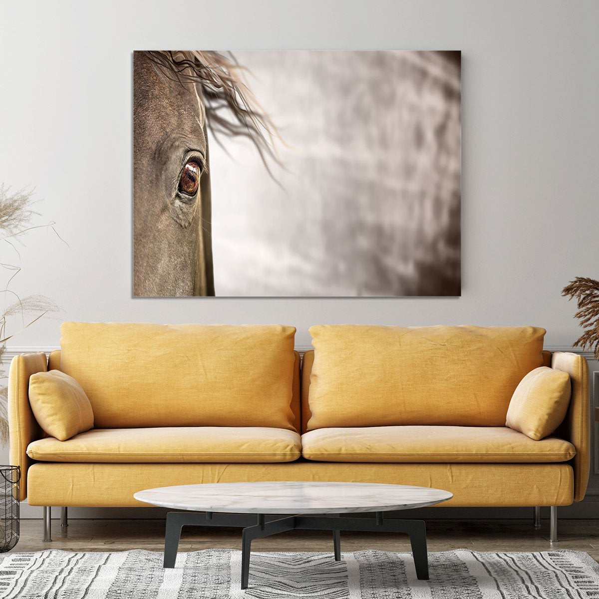 Eye of horse Canvas Print or Poster