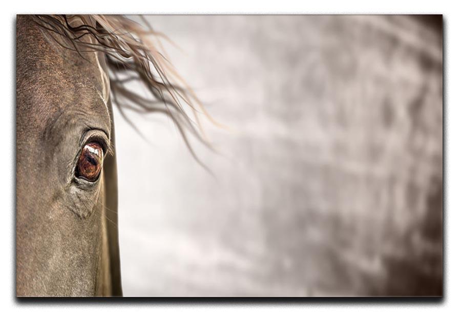 Eye of horse Canvas Print or Poster - Canvas Art Rocks - 1