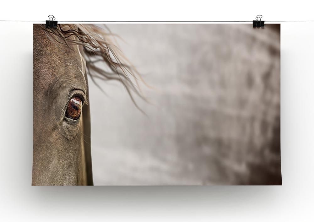 Eye of horse Canvas Print or Poster - Canvas Art Rocks - 2