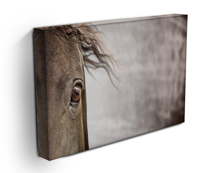 Eye of horse Canvas Print or Poster - Canvas Art Rocks - 3