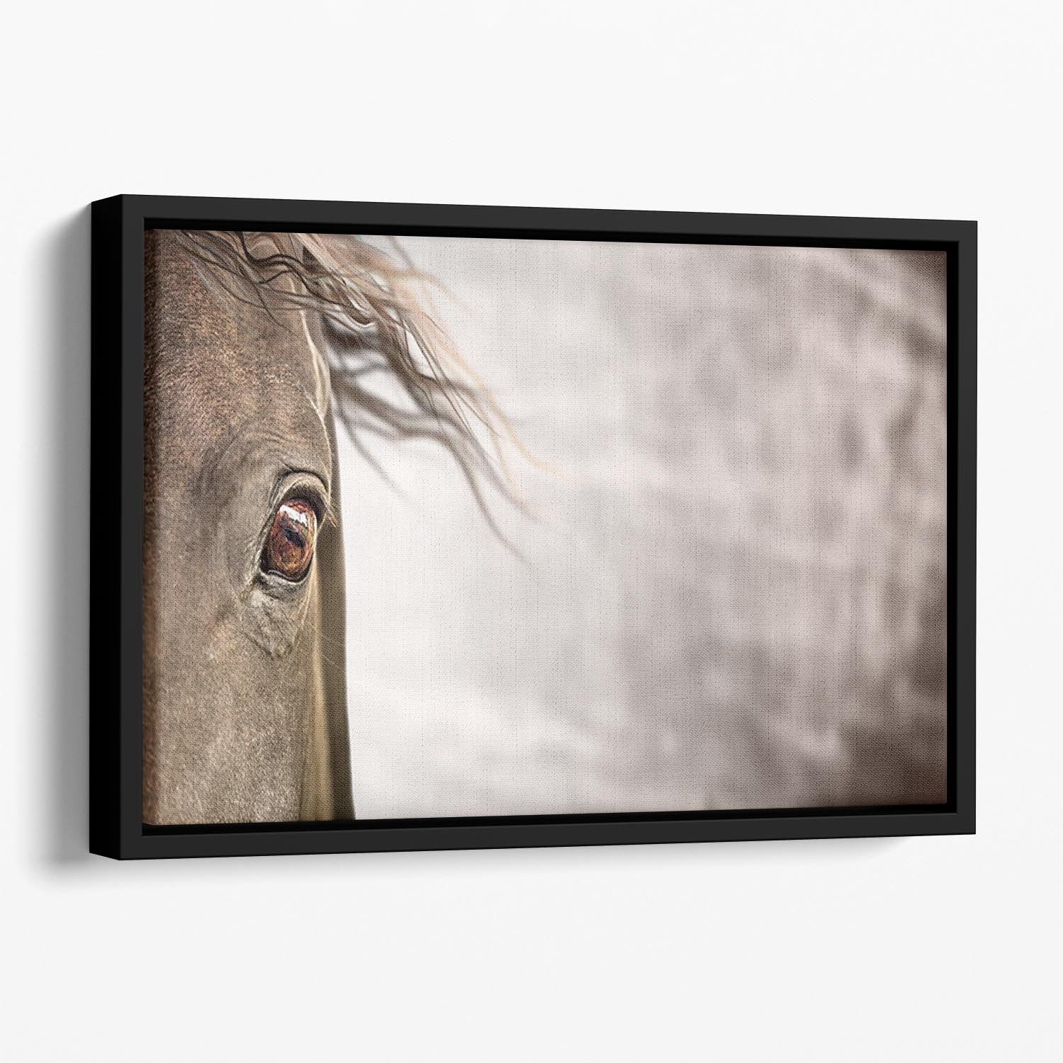 Eye of horse Floating Framed Canvas - Canvas Art Rocks - 1