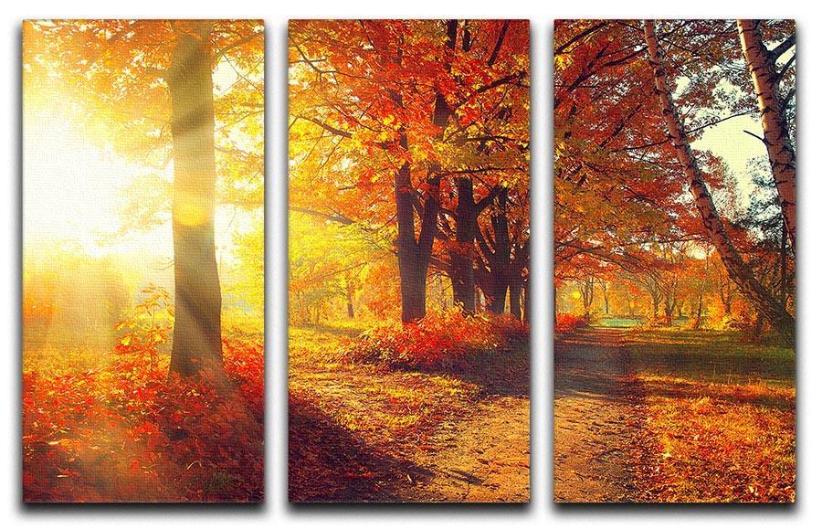 Fall Autumn Park 3 Split Panel Canvas Print - Canvas Art Rocks - 1