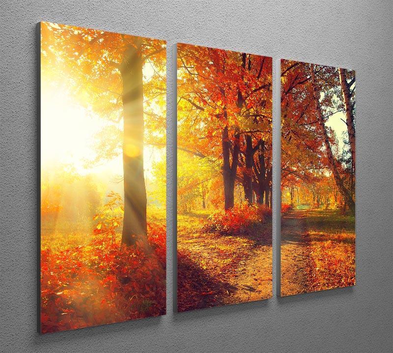 Fall Autumn Park 3 Split Panel Canvas Print - Canvas Art Rocks - 2