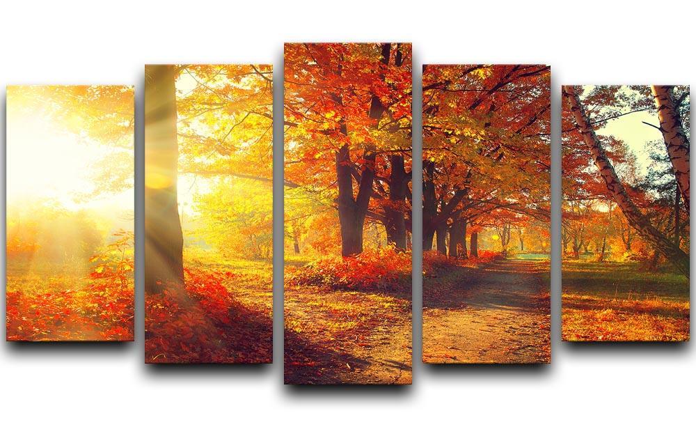Fall Autumn Park 5 Split Panel Canvas  - Canvas Art Rocks - 1