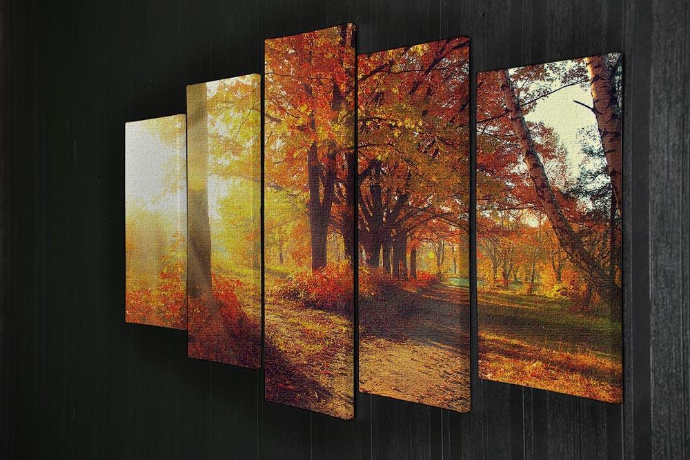 Fall Autumn Park 5 Split Panel Canvas  - Canvas Art Rocks - 2