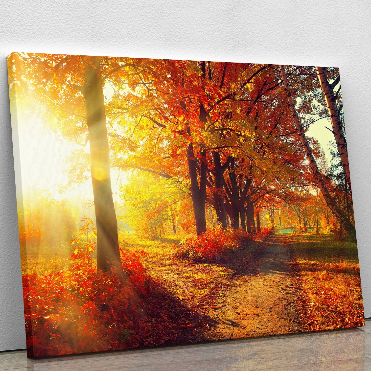 Fall Autumn Park Canvas Print or Poster