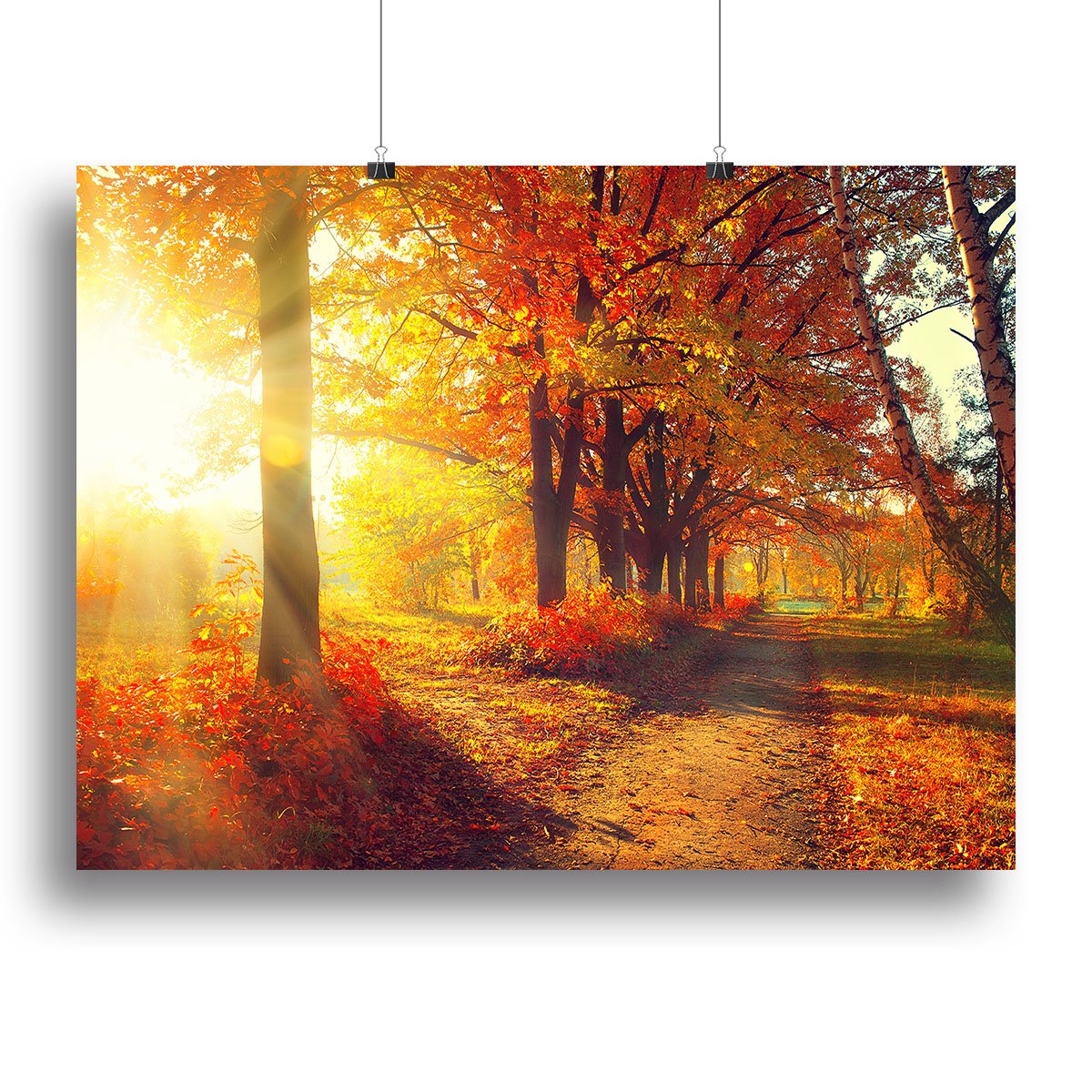 Fall Autumn Park Canvas Print or Poster