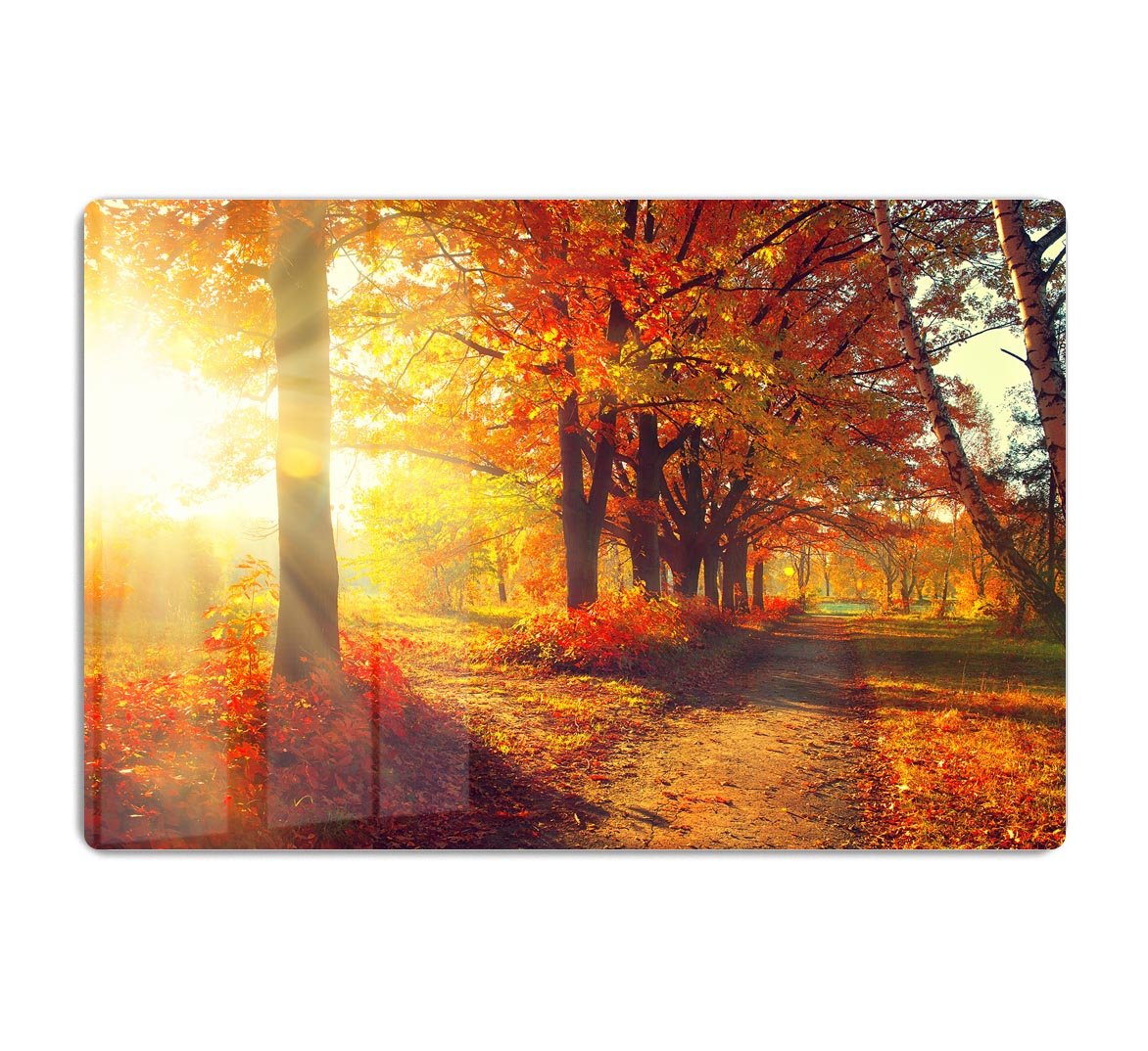 Fall Autumn Park HD Metal Print