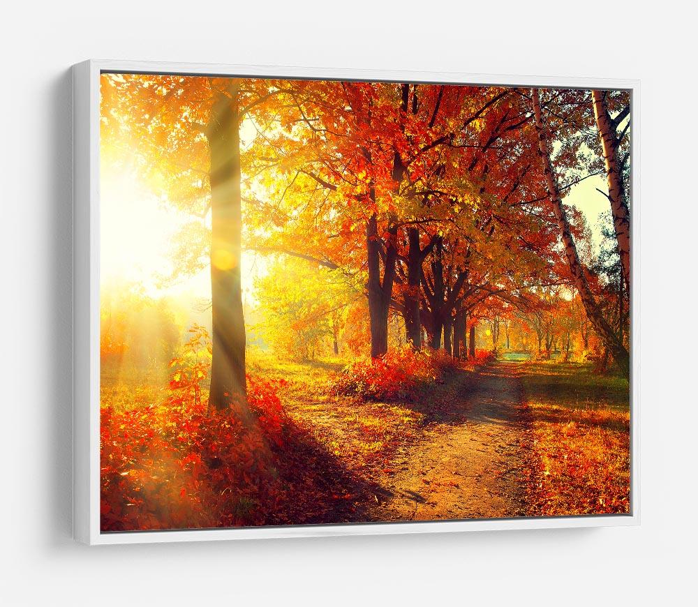 Fall Autumn Park HD Metal Print