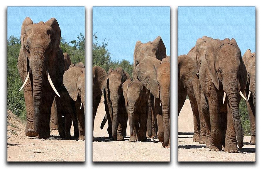 Family herd of African elephants on the move 3 Split Panel Canvas Print - Canvas Art Rocks - 1