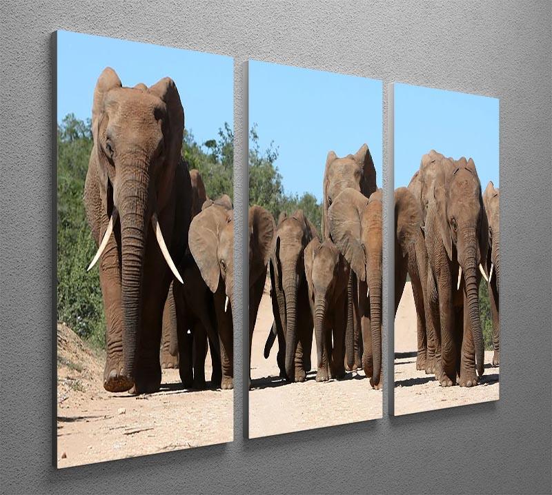 Family herd of African elephants on the move 3 Split Panel Canvas Print - Canvas Art Rocks - 2