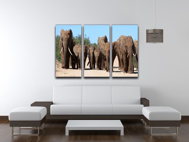Family herd of African elephants on the move 3 Split Panel Canvas Print - Canvas Art Rocks - 3